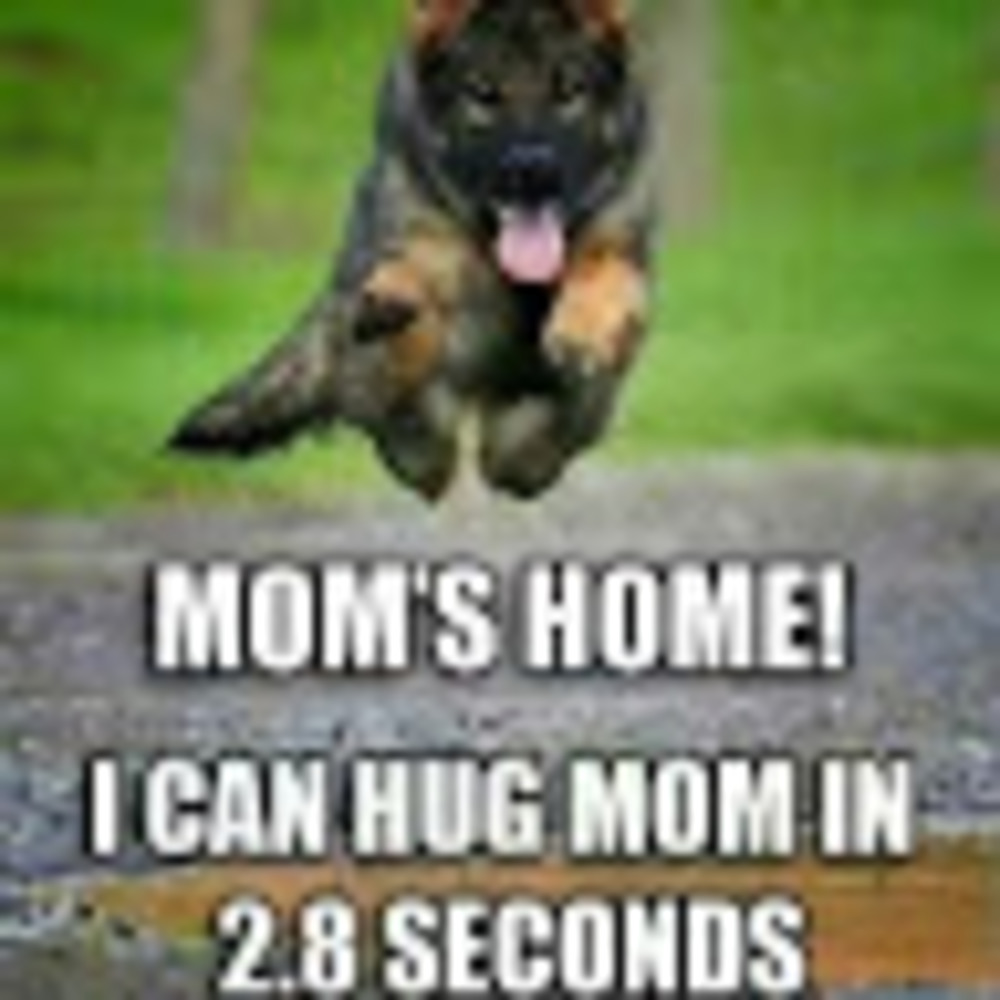 Meet your Posher, Kresten